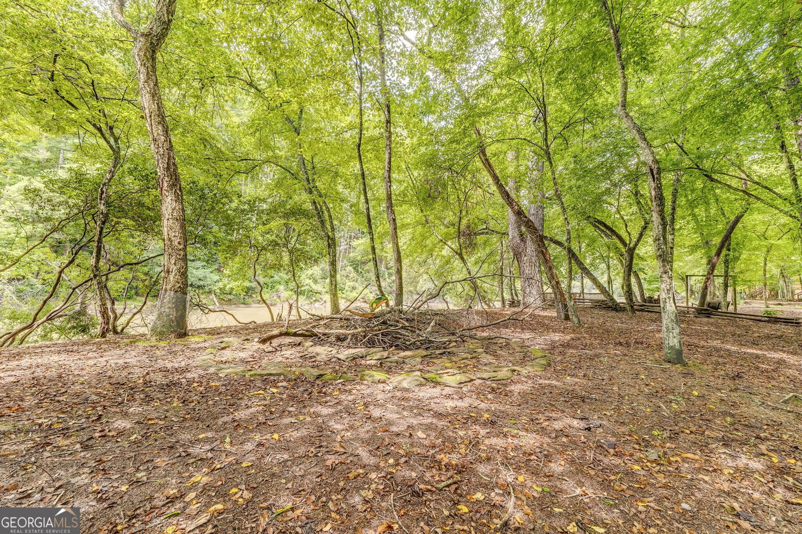 648 Novena Court Ellijay - 50