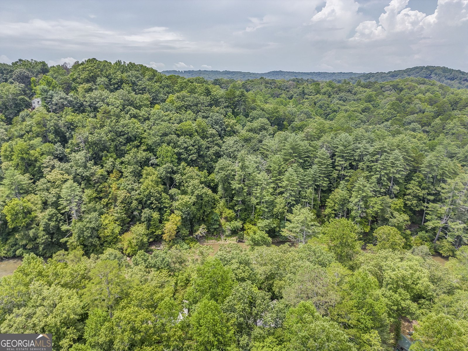648 Novena Court Ellijay - 51
