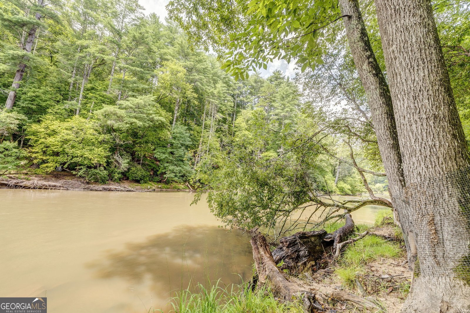 648 Novena Court Ellijay - 54