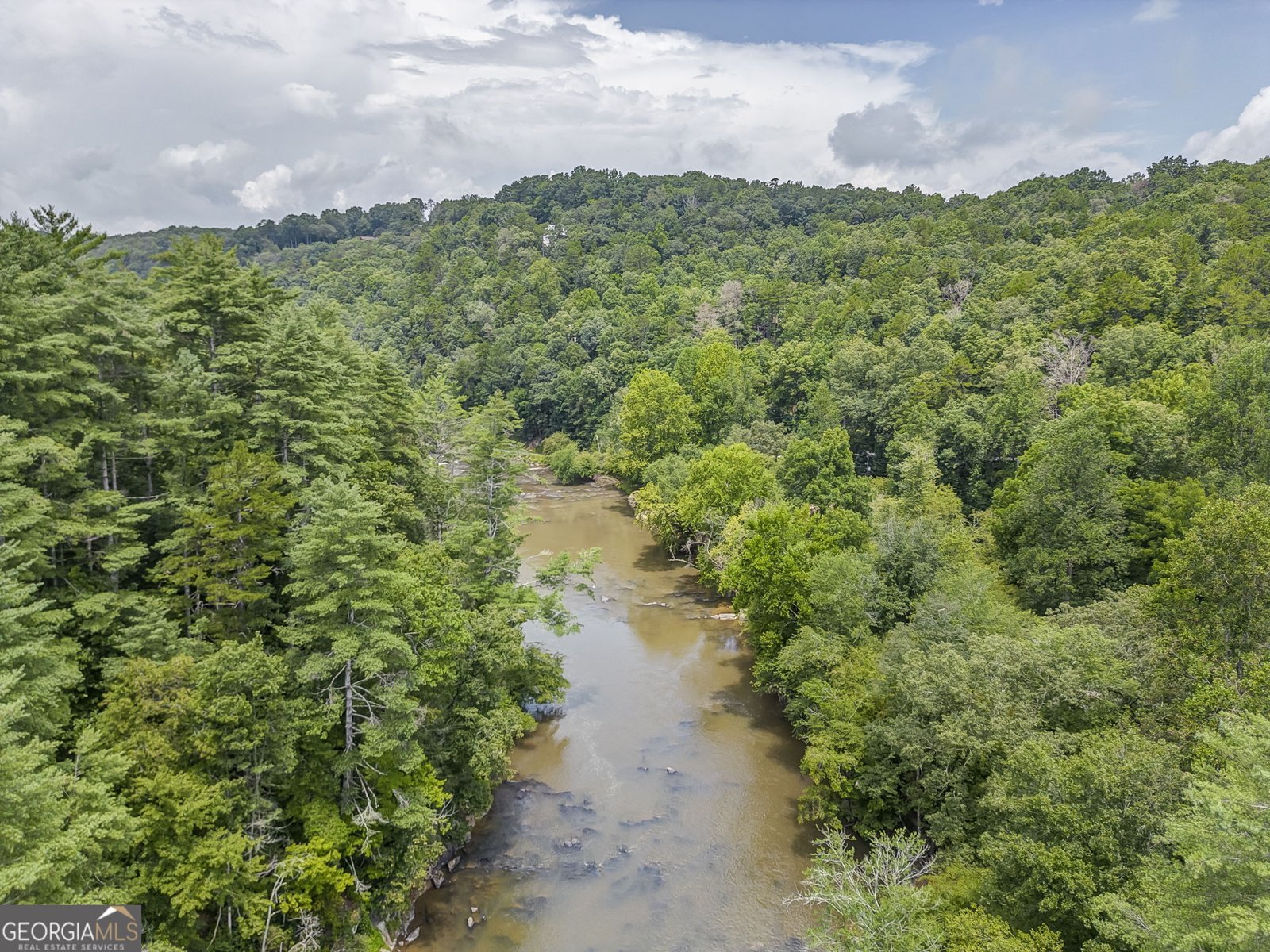 648 Novena Court Ellijay - 56