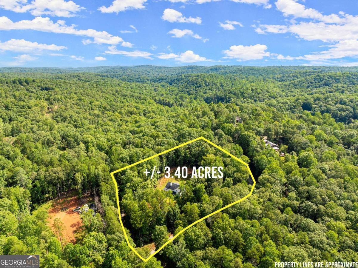 67 Woody Tucker Road Dawsonville - 48