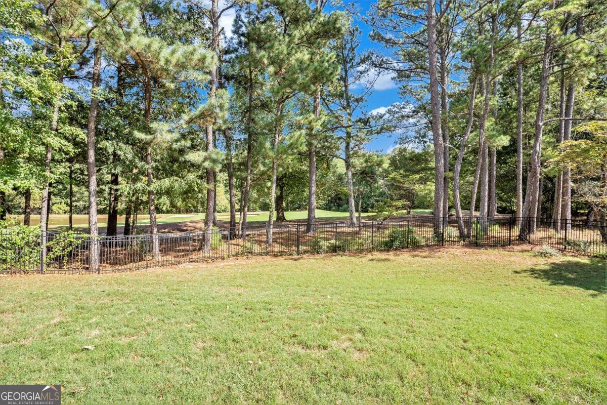 804 Eggie Court Mcdonough - 16