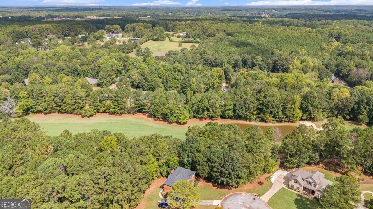804 Eggie Court Mcdonough - 23
