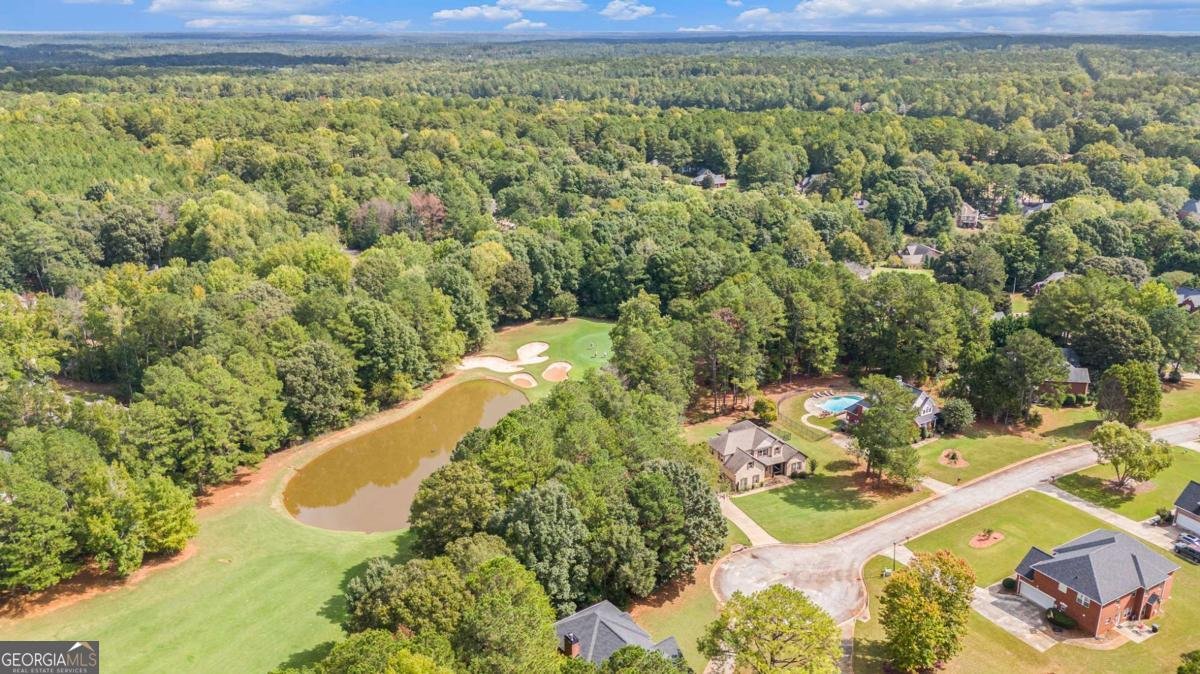 804 Eggie Court Mcdonough - 24