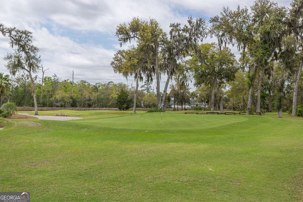 168 Harbor Pointe Drive Brunswick - 39