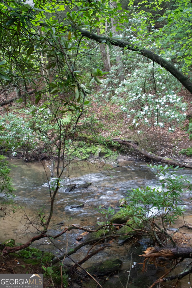 1990 Big Creek Road Cherry Log - 26