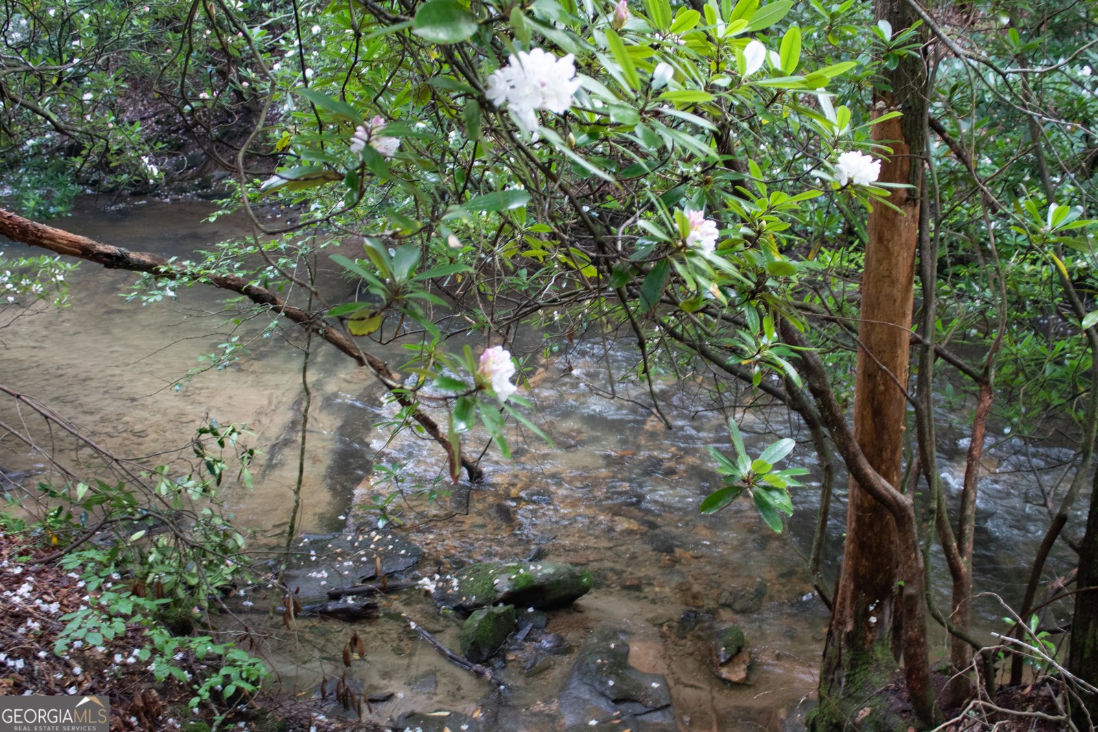 1990 Big Creek Road Blue Ridge - 27