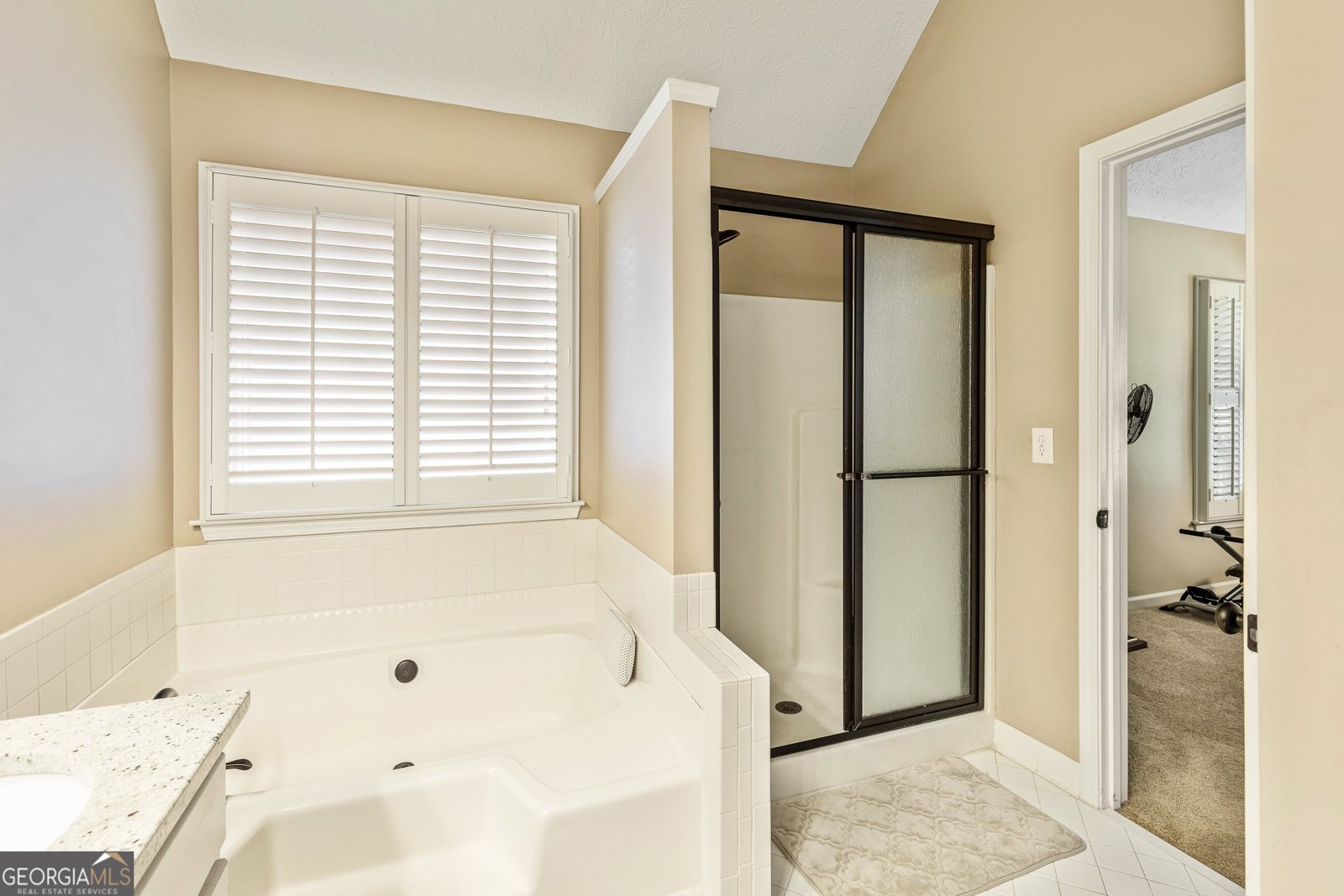 203 Birkhill Peachtree City - 20