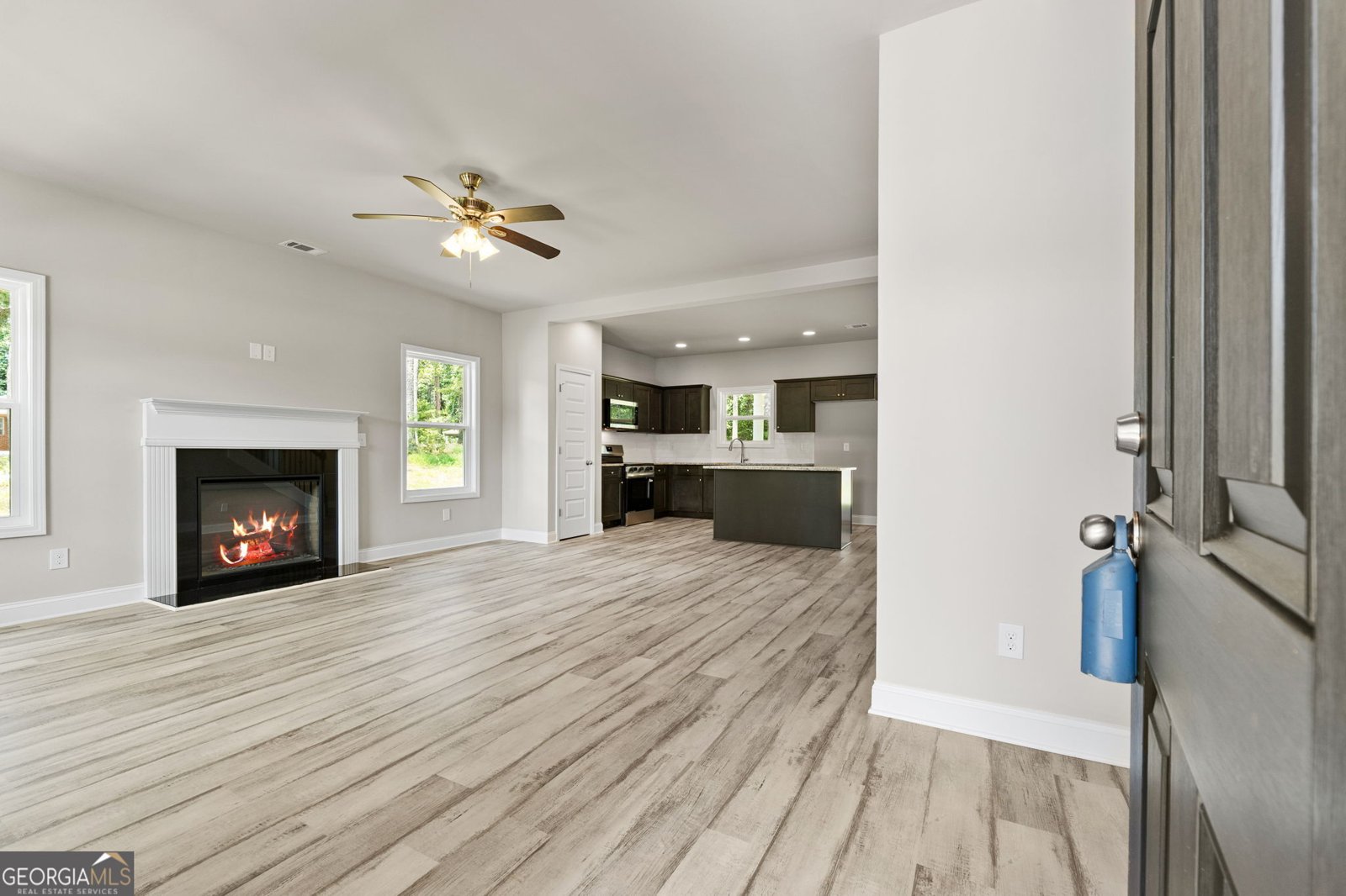 148 Asa Moseley Road McDonough - 3