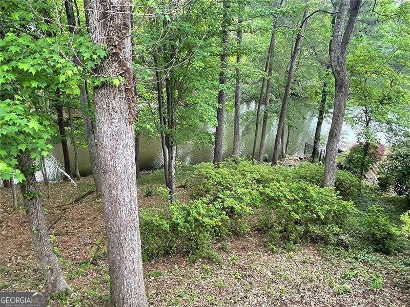 160 Boxelder Lane Roswell - 12