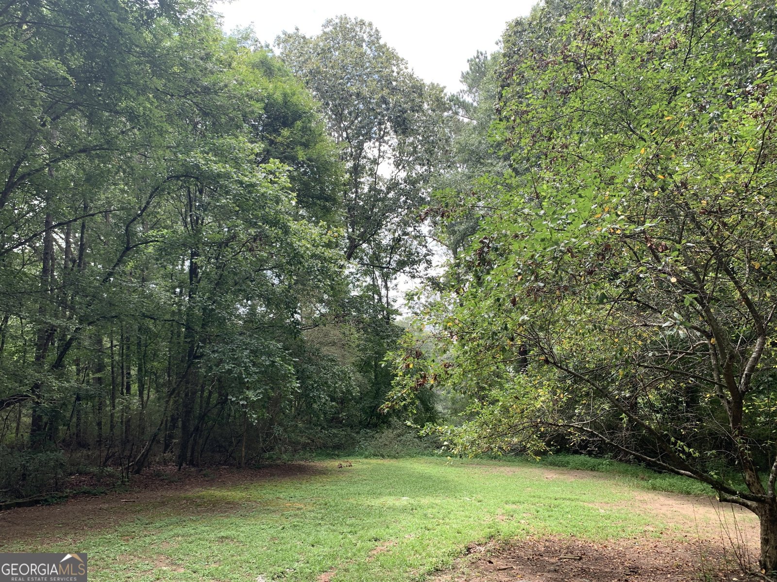3057 Hallman Circle Marietta - 6