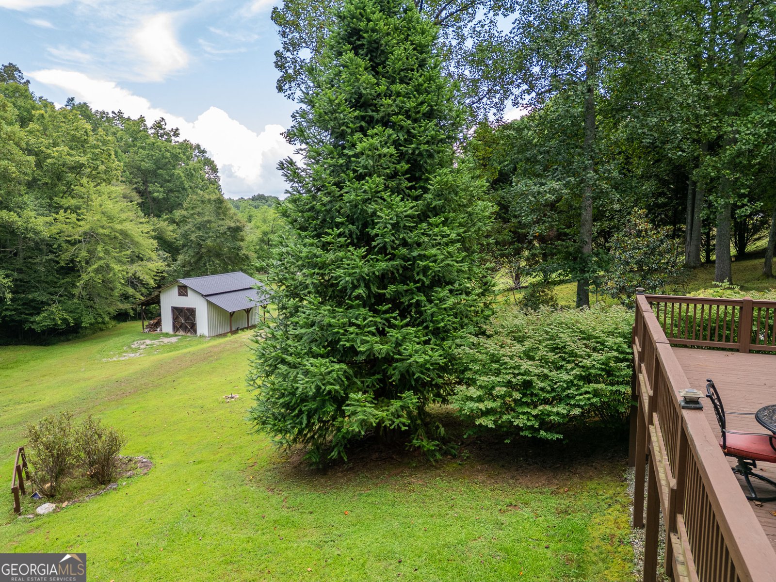 1386 Mulkey Gap Road Blairsville - 37