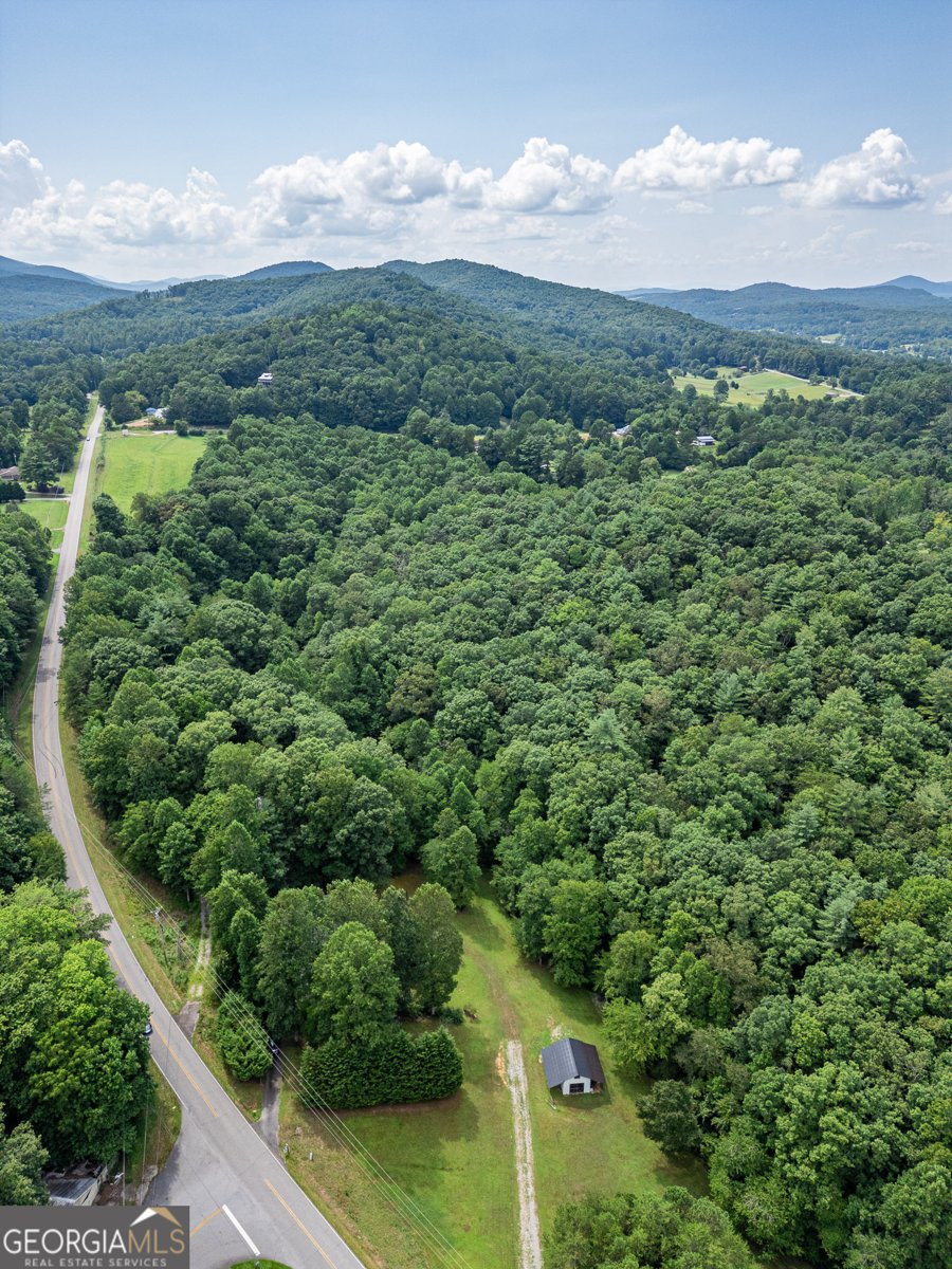 1386 Mulkey Gap Road Blairsville - 45