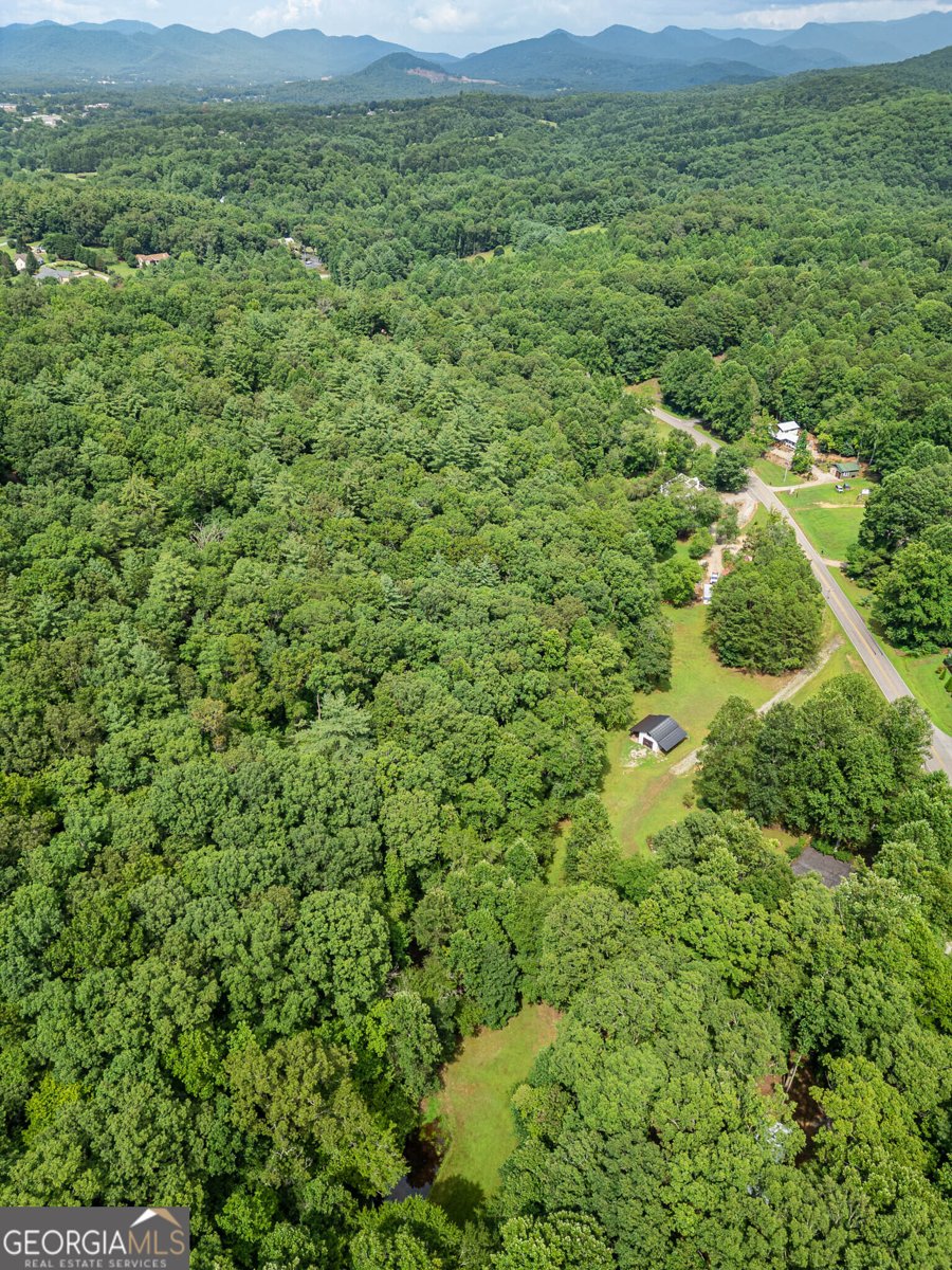 1386 Mulkey Gap Road Blairsville - 48