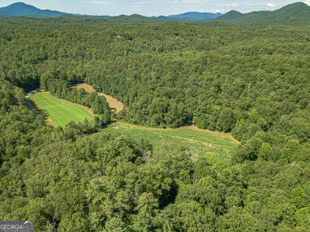 2970 Skylake Road Sautee Nacoochee - 1