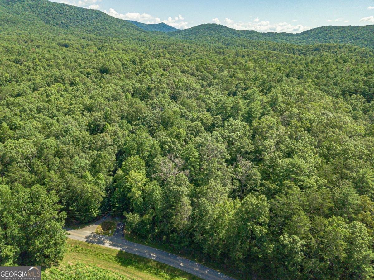 2970 Skylake Road Sautee Nacoochee - 15