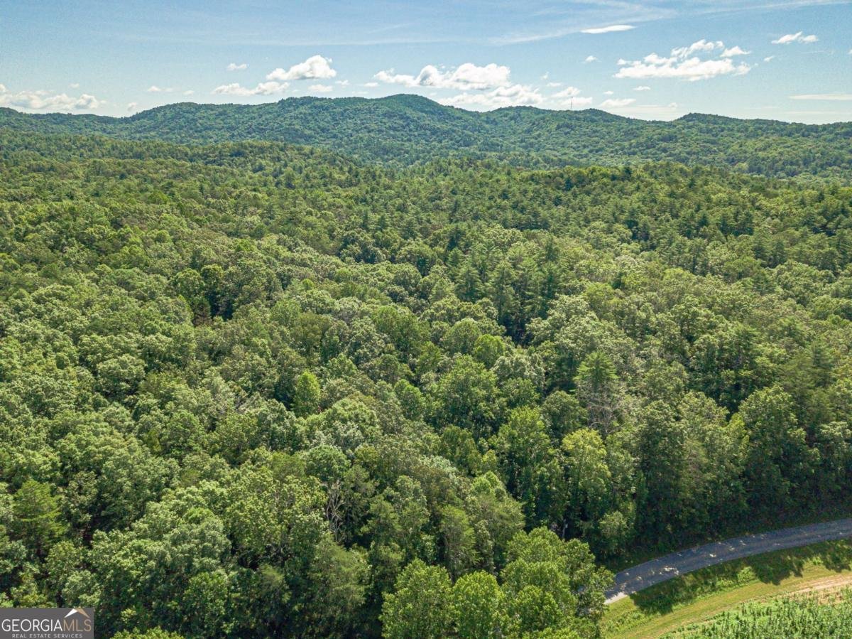 2970 Skylake Road Sautee Nacoochee - 16