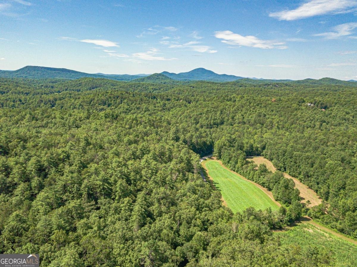 2970 Skylake Road Sautee Nacoochee - 18