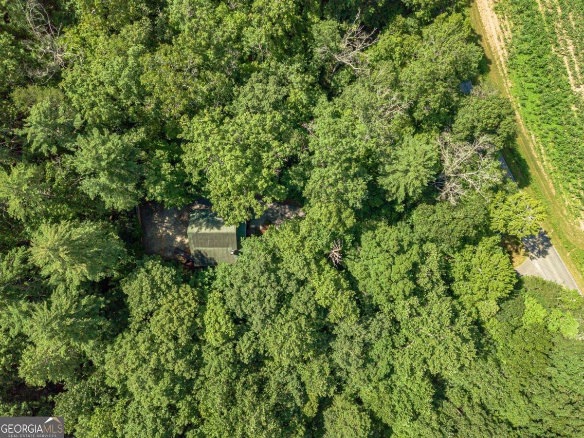 2970 Skylake Road Sautee Nacoochee - 60