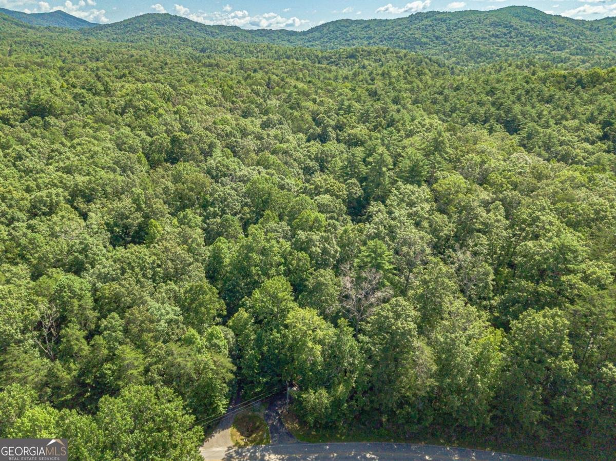 2970 Skylake Road Sautee Nacoochee - 61