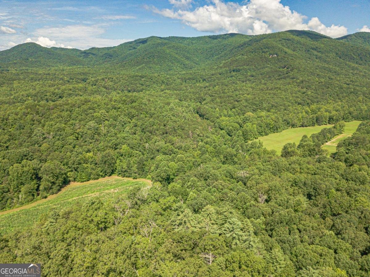 2970 Skylake Road Sautee Nacoochee - 62
