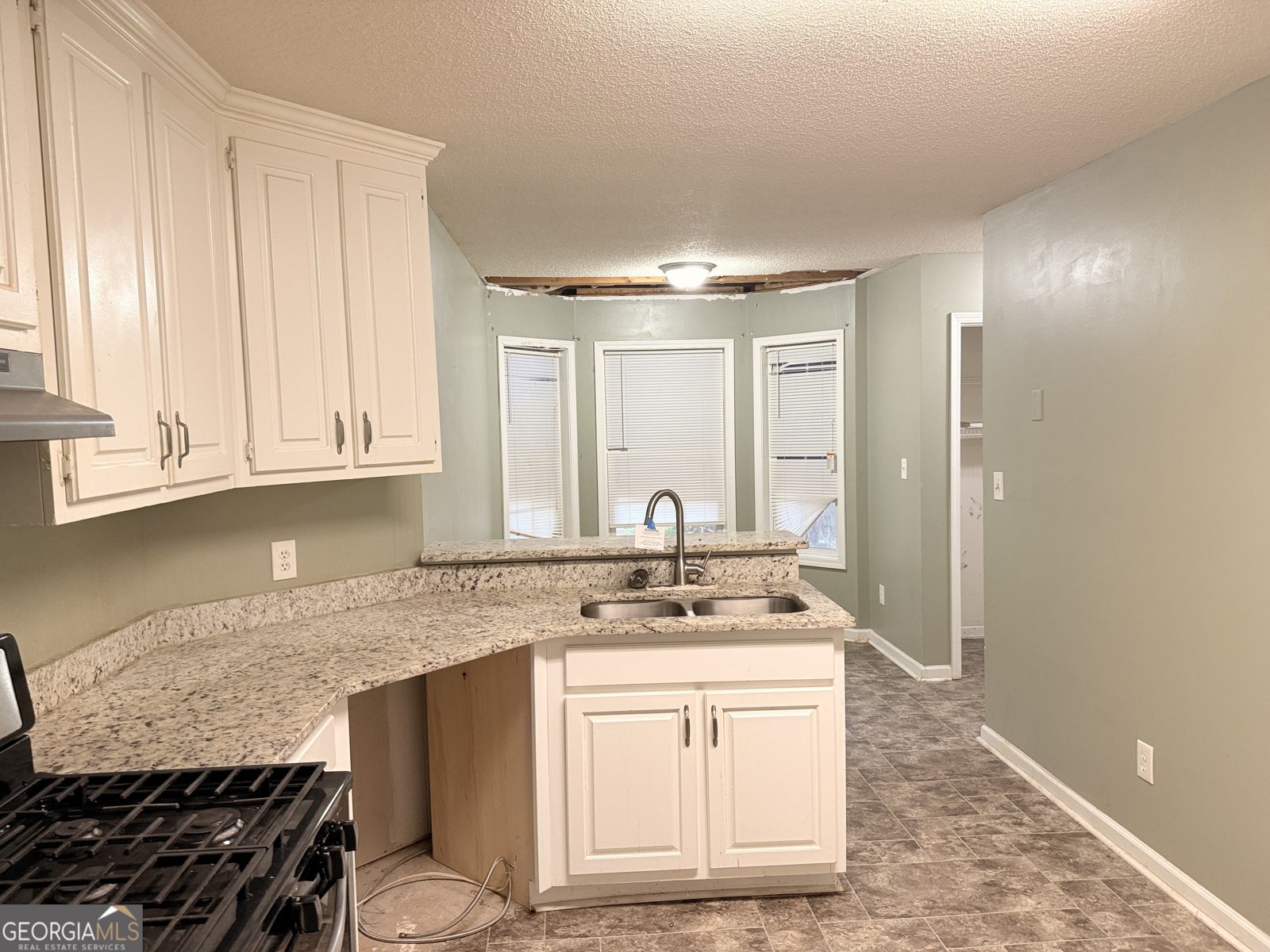 135 Flowers Drive Covington - 5