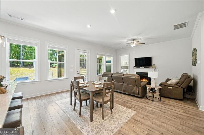 562 LINGER LONGER Ellijay - 6