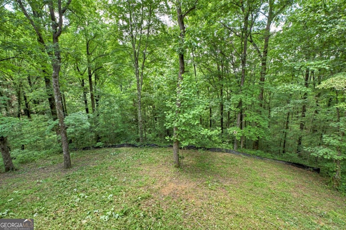 1554 Piney Spur Road S Ellijay - 8