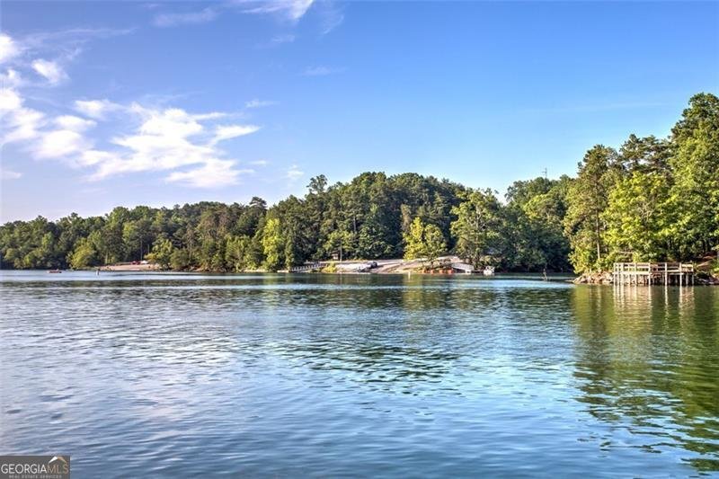 466 SWEET APPLE Lane Buford - 31