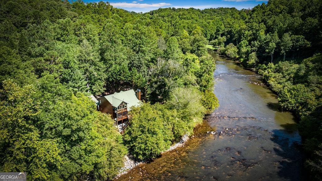 221 Muller Lane Ellijay - 1
