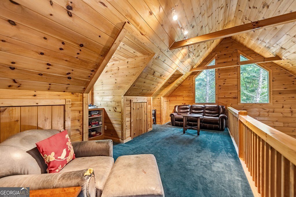 221 Muller Lane Ellijay - 43