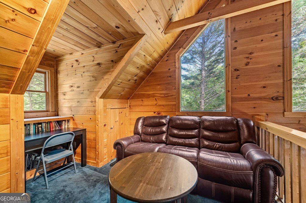 221 Muller Lane Ellijay - 45