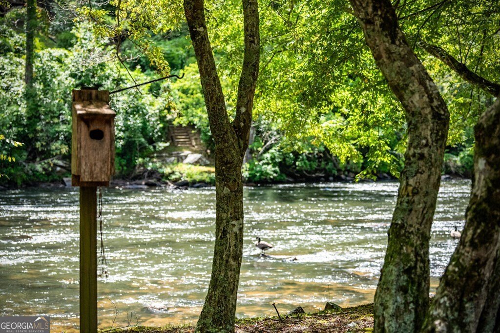 221 Muller Lane Ellijay - 75
