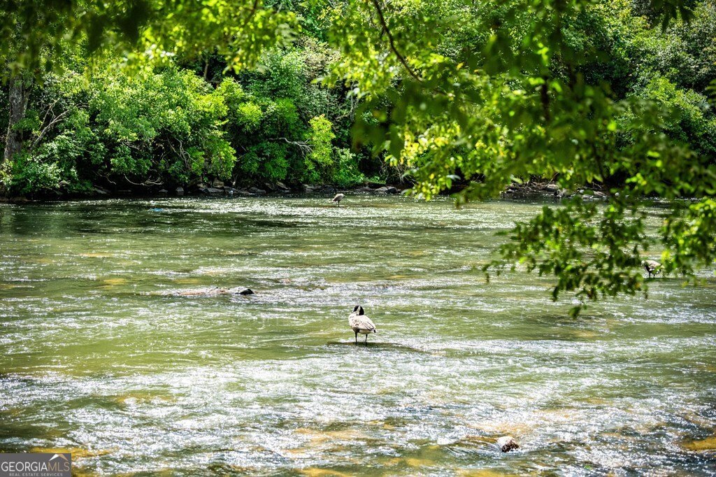 221 Muller Lane Ellijay - 76
