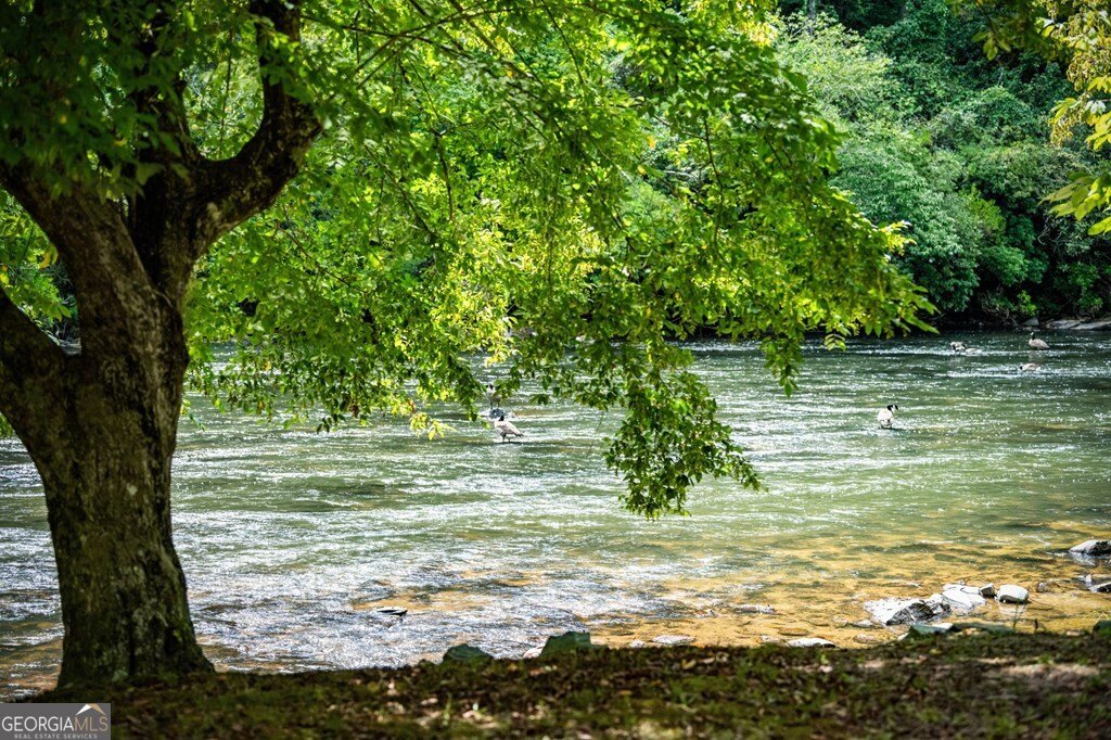 221 Muller Lane Ellijay - 79