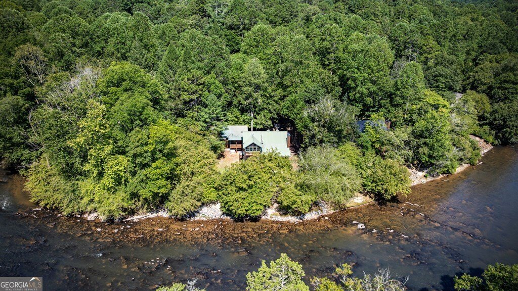 221 Muller Lane Ellijay - 81