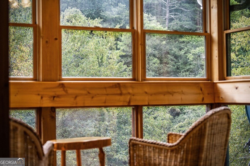 221 Muller Lane Ellijay - 86