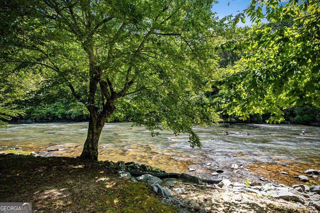221 Muller Lane Ellijay - 89