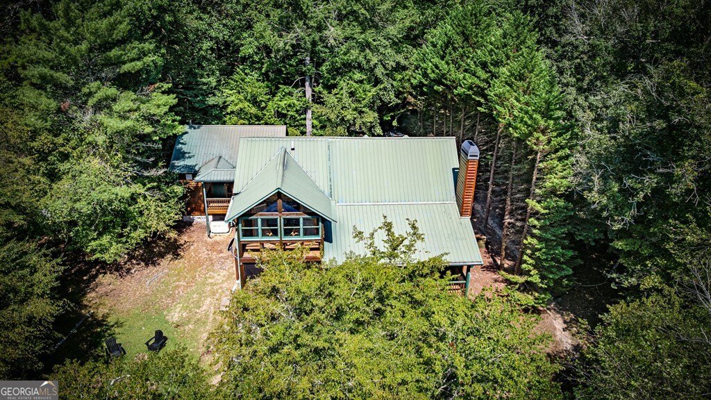 221 Muller Lane Ellijay - 94