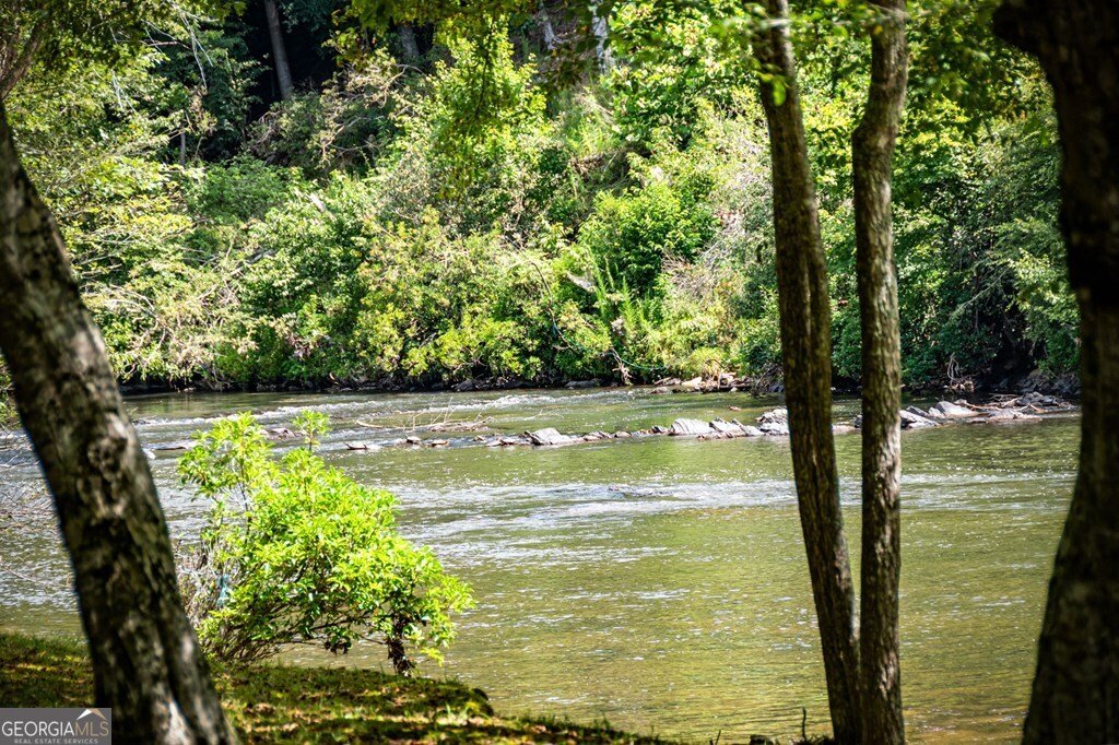 221 Muller Lane Ellijay - 96
