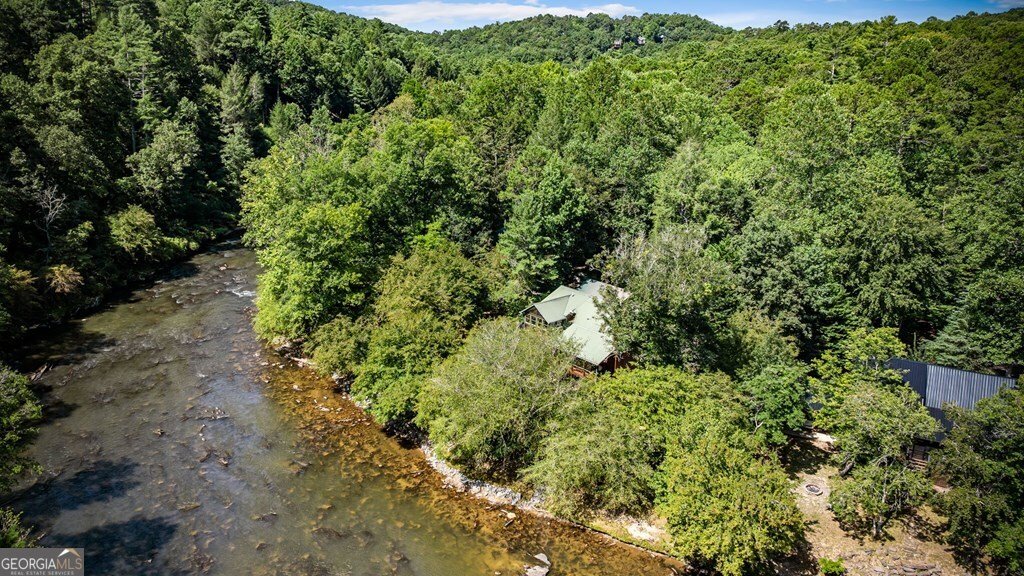 221 Muller Lane Ellijay - 98