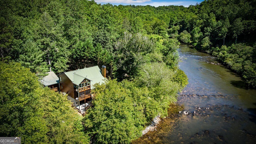 221 Muller Lane Ellijay - 99
