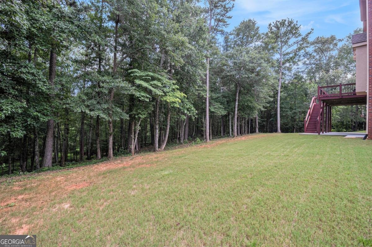 1637 Madison Lane Conyers - 41