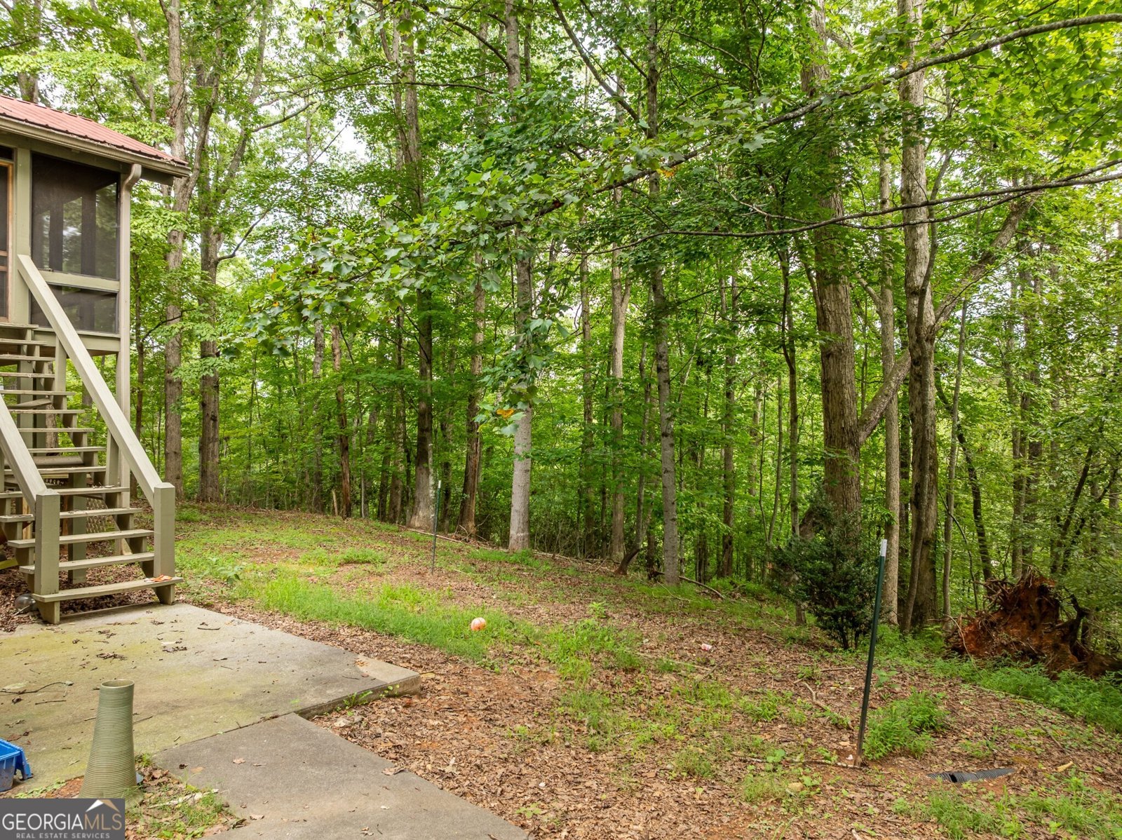 266 Bluebird Lane Blue Ridge - 39