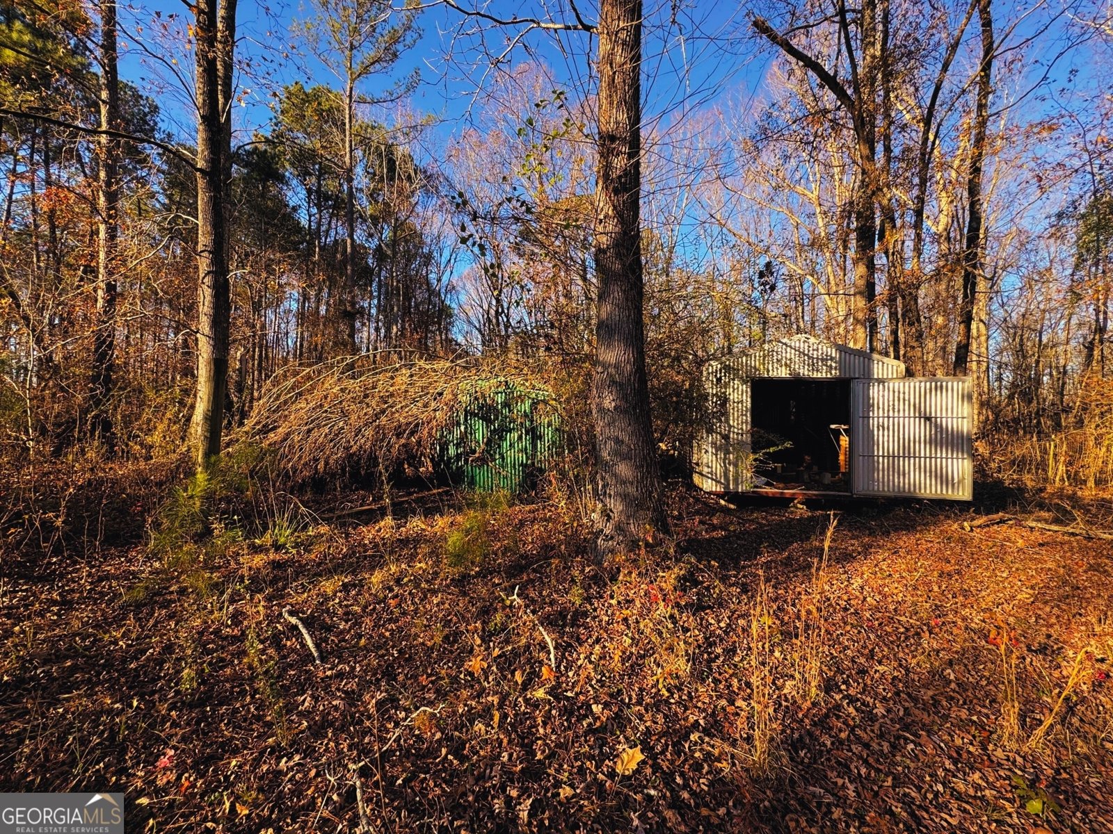 1930 Locust Grove Road Griffin - 3