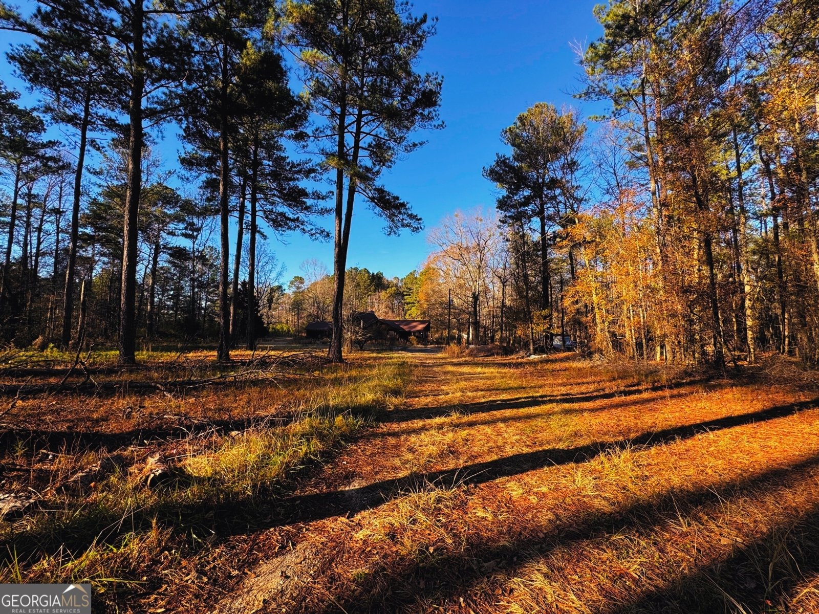 1930 Locust Grove Road Griffin - 7