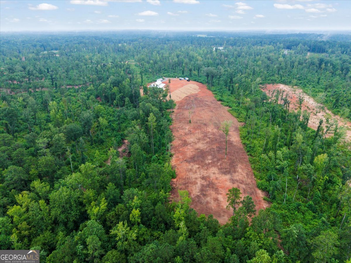 1378 Hopewell Road Forsyth - 39
