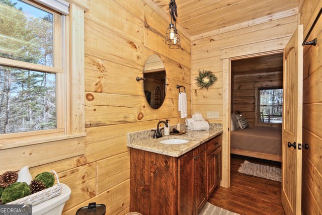 956 Lemmon Lane Ellijay - 38