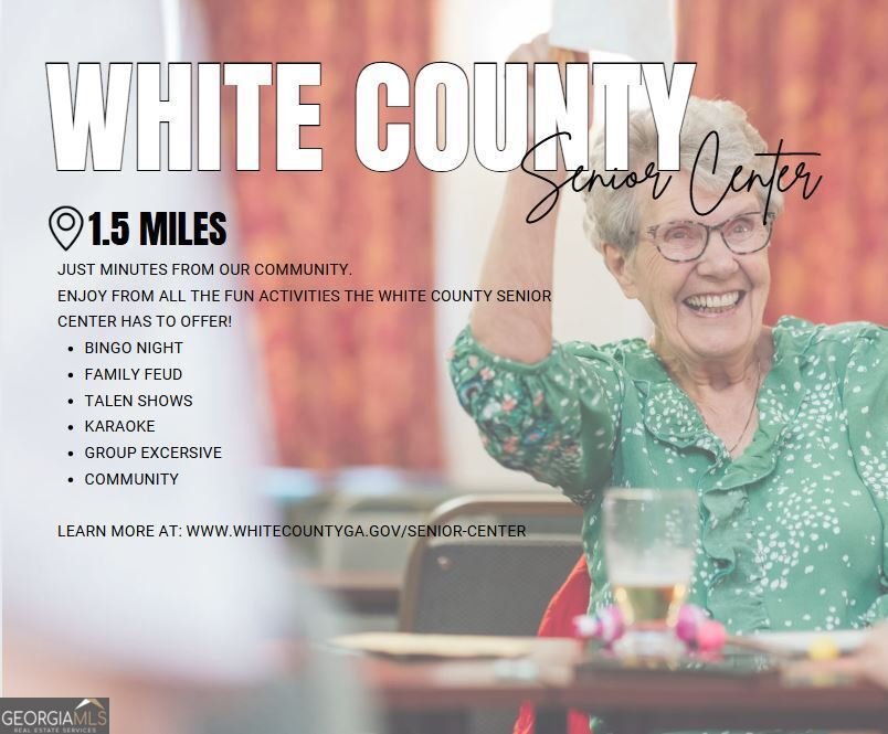 66 Village Court Cleveland - 29