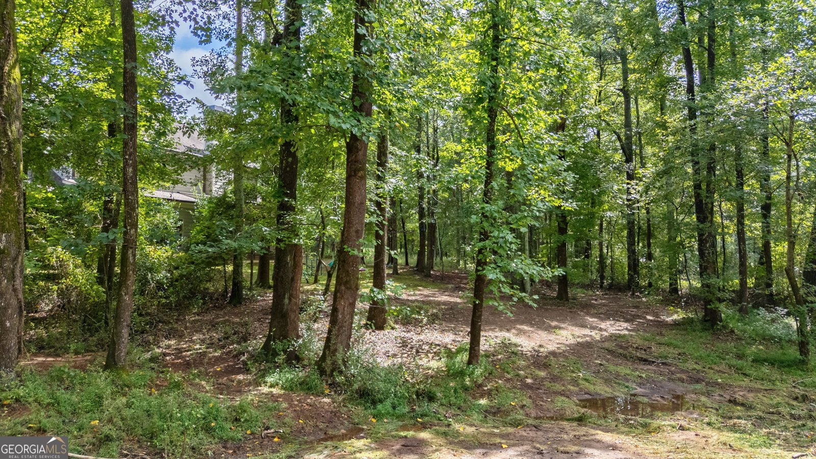 5542 Brookhaven Drive Watkinsville - 35